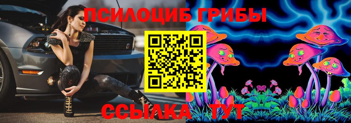 Псилоцибиновые грибы мухоморы Среднеуральск